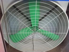 ����ؓ(f��)���L(f��ng)�C